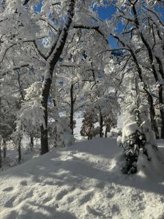 Country House-Lištani - Livno - 3