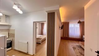 Parc Vatra Dornei 5 - Big family choice - Vatra Dornei - 5