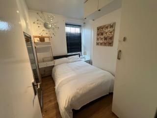 Cozy 2 bed apart Kings Cross - Londra - 7