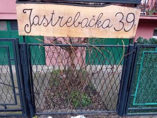 Secret Garden - Belgrado - 9