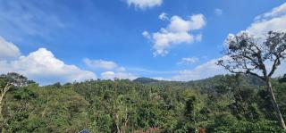 Vintara Homestay - Madikeri - 7