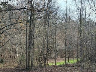 Waterfalls Canyon 41.5 Acres W Miles of Trails - 3