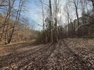 Waterfalls Canyon 41.5 Acres W Miles of Trails - 7