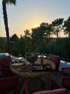 Maison d'hôtes et appartement Villa Palma - Montferrier-sur-Lez - 5