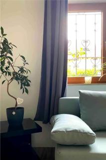 Helle 1-Zimmer Souterrainwohnung in ruhiger Lage! - Tiefenbronn - 0