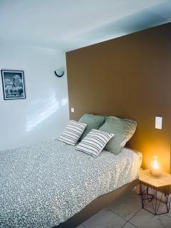 Maison d'hôtes et appartement Villa Palma - Montferrier-sur-Lez - 3