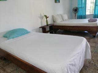 Rooms Palmeras - Cahuita - 5