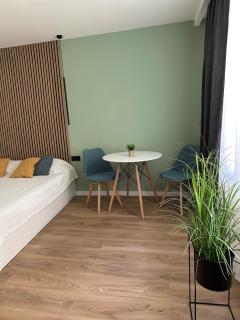 Piata Unirii Apartment 1 - Cluj-Napoca - 5