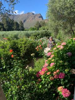 Montagu Vines Guesthouse - Montagu - 9