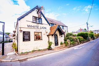 The White Lion - 9