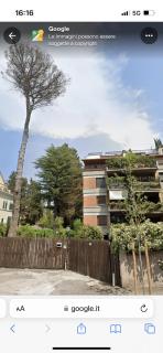 AKIRE - Roma - 7