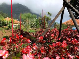 Quinta da Colina - São Vicente - 7