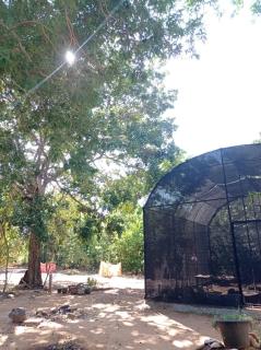 Bundala Resort - Hambantota - 5