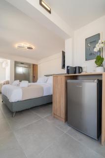 The Minion Elegant Suite - Acropolis View - Atene - 2