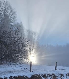 Schlossberghof Marzoll - 2