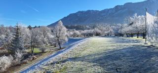 Der Schlossberghof Marzoll - Landidyll & Naturgarten - vital-sportlich-gesund- - 5