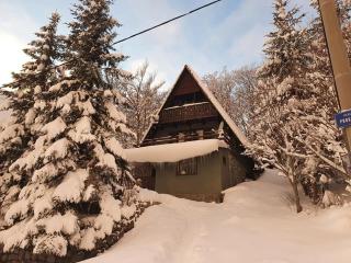 Kuća za odmor Platak - 9