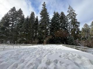 SnowLine Flora - Borovets - 2