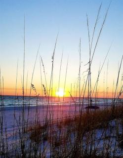 Edgewater Destin 1405 - Destin - 1