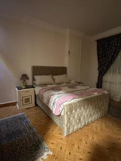 شقة مفروشة - 2