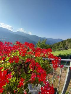 Chalet Dolomiti - Sant’Orsola - 8