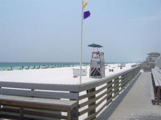 Emerald Waters 205 - Destin - 1