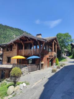 Chalet Robin - spa- multipass- terrain de pétanque - Morzine - 0