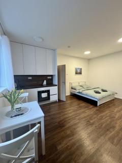 Angel apartments - Olomouc - 0