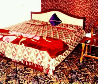 Hotel Fabulous Kashmir - Srinagar - 8