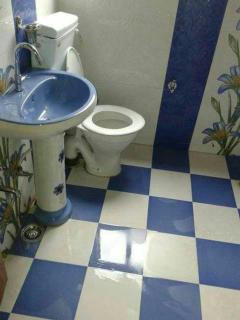 Hotel Fabulous Kashmir - Srinagar - 4