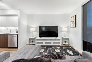 Furnished Luxury Apartment Next to Harvard Stadium - 8