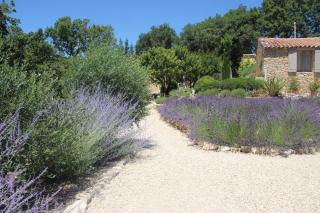 Fleur de Lavande - Gordes - 9