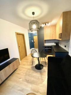 LOFT APARTAMENT IV Namysłów - Namysłów - 5