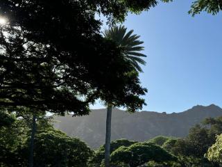 Private Bedroom in Shared Guesthouse Waikiki Beach Area 30 day minimum - Honolulu - 0