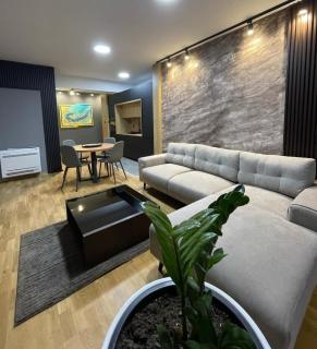 VIP Apartment Skopje City Center - 0