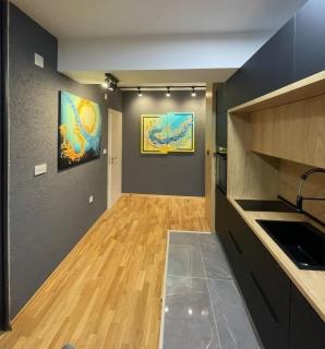 VIP Apartment Skopje City Center - 1