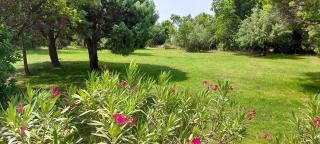 Villa "Bonifacio" Porto-Vecchio dans résidence avec piscine - Lecci - 4