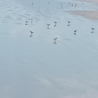 CANTO DO PARAÍSO Praia RUÍNAS - Peruíbe - 9