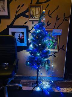 Dim Delights - New Delhi - 7