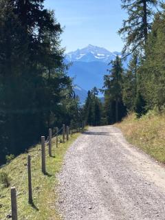 Chalet Waldesruh - Bellwald - 7
