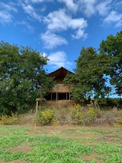 Glamping Podere Angiotto LODGE QUERCIA - Magliano in Toscana - 0