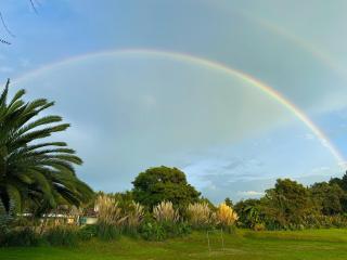 Hotel Rancho Las Margaritas - 4