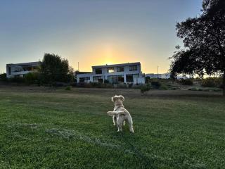Beautiful house with a great view of the golf course! - Maitencillo - 0
