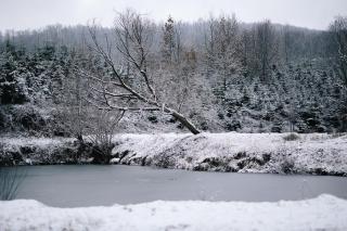 La Lacuri - Sovata - 1