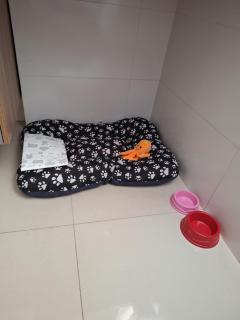 Apartamento completo - Bauru - 9