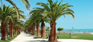 Appartamenti Tassoni - Grottammare - 6