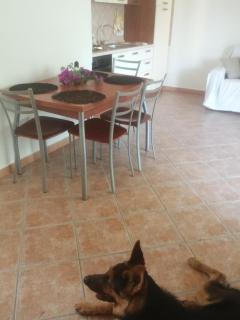 Villetta Sardinia - 5