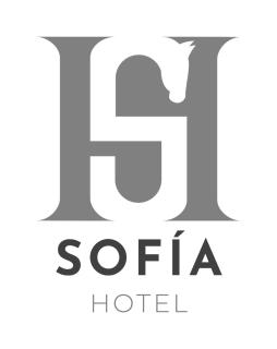 SOFIA Hotel - - 0