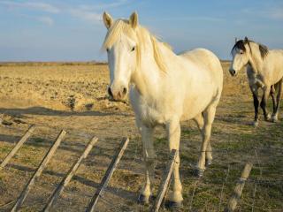 "Yunahouse" Vue sur les Salins Roses - Salin-de-Giraud - 1