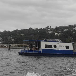 The Little Mermaid Knysna houseboat - Knysna - 8